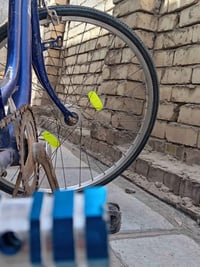 باسكل • حجم 26 • مراوس عادي