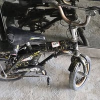 باسكلات • بالة • شطرة الحولي