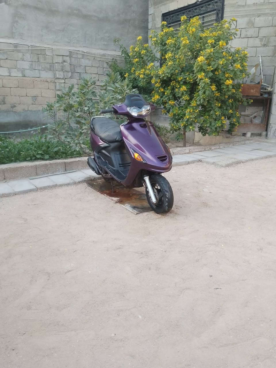 سلام عليكم اخوان دراجه فراشه فحل للبيع دراجه كلش كلش جديدا  مكفوله محرك ما مفتوح كهربائية شقالا كلوب شاير عداد سلف هندر المكان البصره ابو الخصيب السعر 550 وبيها مجال ليريدها يجي خاص ***********
