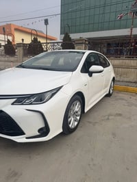 كورلا هايبرد • ٢٠٢٥ • رقم بغداد