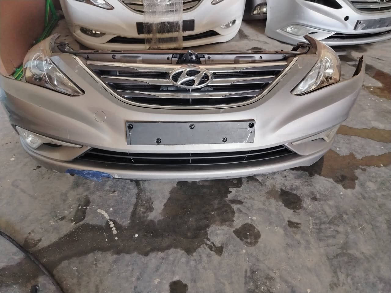 جمله ومفرد
بابل الشوملي للتواصل على الرقم ***********
***********
