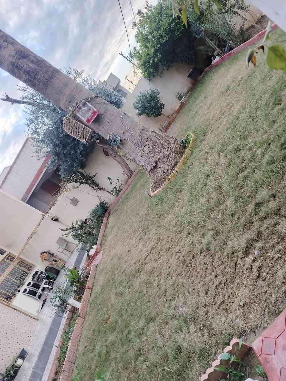 بيت في الايمن حي شفاء مقابيل الاعدادية المركزيه مساحه البيت 416 سعر المتر 850 للاستفسار تواصل مع صاحب الدار‏‪***********‬‏
