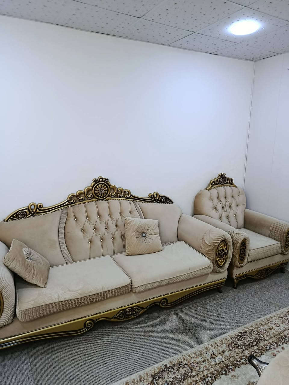 تخم 10 نفرات نوعية درجة اولة بحالة جيدة  سع.رة 360
كركوك ‏‪***********‬‏
