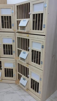 حبايب كلبي رجعنالكم بقوه صار اكثر من سنه تاركين اي ستفسار عله اي عمل ه...