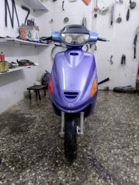 فراشة • شغال • نجف ابو اصخير