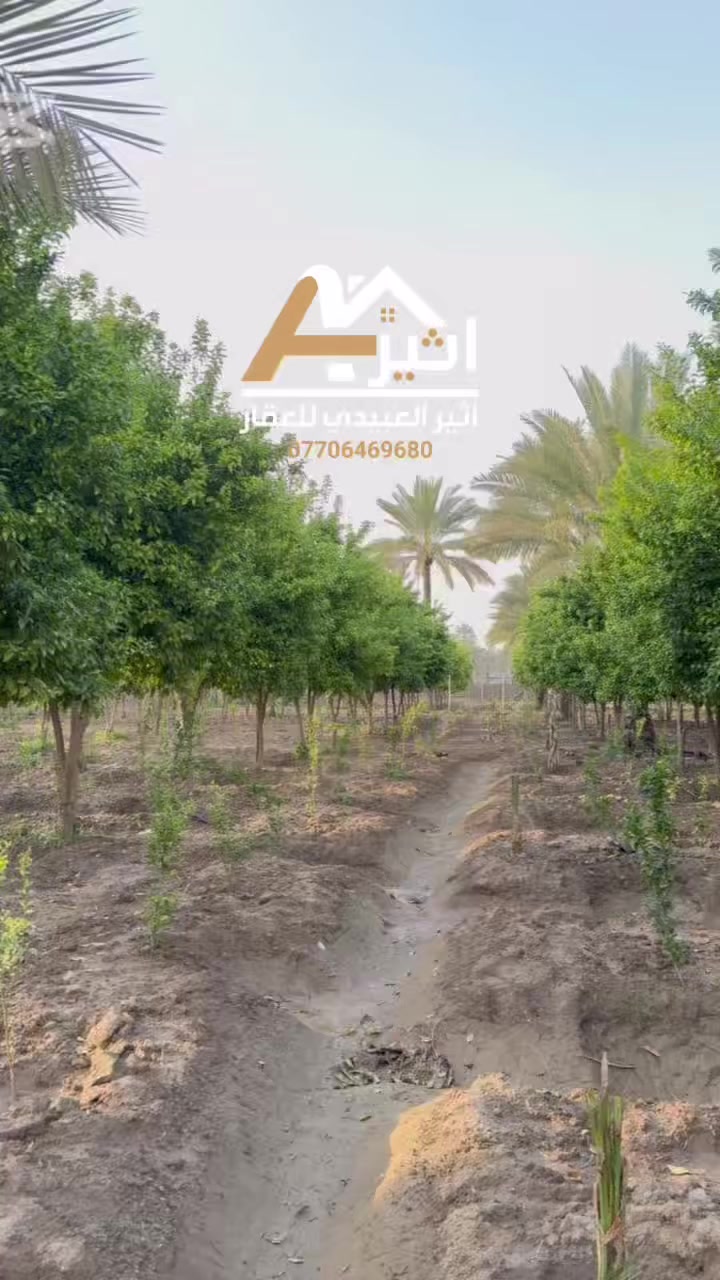 ✅ اعلان رقم ( 248 )
السلام عليكم دونمين بستان مثمر الواجهه 74 متر نزال 67 متر
كافة الخدمات متوفره يصلح للسكن او مزرعة الموقع بغداد 
الراشدية منطقة السادة البوحيات للأستفسار اكثر ***********
