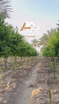 ✅ اعلان رقم ( 248 ) السلام عليكم دونمين بستان مثمر الواجهه 74 متر نزال...