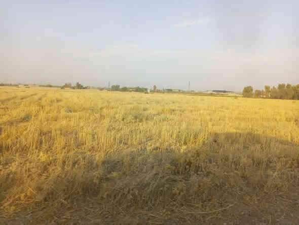 دۆنــم بـــۆفرۆشــتن 100دۆنــم  دۆنم 5گـڵا معملـــــــــــە🙋
لـە گــوندی ســـەنگـــەر شـوورو پـەلـە بکەو فەریای کـــەوە
لـەدەســتی خــۆتـی دەرمــــــاکـــــە کــریـارانی ئــــــــــازیز
ســاڵی ســـێ بـــوو دوومــێلـــۆن دێـنار کـرێ دەکــــــــــــات
🟢 زەوی  زراعی دیـــم  📢 بۆ فرۆشتن 🌾🌻🌳
 🏃🏃 بــــــــلاش  بـــــــلاش  فــەریای کــــــــەوە🏃🏃

🔺ڕوبەر -100 دۆنم ، زەراعی  بــێ کــیشــەی کـریـاران

✅ گونجاو بۆ گــــــەنــم  سـاڵان کـرێ بـاش دەکـــــــــات
🙋کـریـارانی ئـازیز ئـەم 100دۆنم هـەی عیلای کەی فقیـر

— مــە رج نیە زەوی زۆر لابێت مەرج ئەویە بیفرۆشیت 

بۆ زانینی نرخ کۆمێنت بکە لە » ”  پەیج  “
خێرا وەڵامت پێ دەگات ، یان بۆ زانیاری زیاتر 

پەیوەندی بکە بە ،

☎️ *********** 👋👋👋

📟 فایبەر ، وەتس ئاپ 
***********👋👋👋
—————————

‏‎تئبینی .. ئــەم زەویـە زەراعــــیە هێچ کیشەنــیایـە🙋🙋

ئەم زەوی کارە با نزیکتی 
هـــیچ کـــێــشــە ی یاســــایوو کـــۆمــە لایـــتی نیــــە 

———

‏‎‌‌ئێوەی بەڕێزیش گەر موڵکتان هەیە و دەتانەوێ بیفرۆشن یان بەکرێی بدەن ئەوا دەتوانن تەواوی زانیاریەکان بنێرن ، لە عەقاراتی” ( هێمــن )“ بۆتانی بڵاو دەکەینەوە ،

‏‎- ناونیشانی تەواوی موڵکەکەت 📍
‏‎- چەن وێنەیەکی موڵکەکەت 🏡
‏‎- نرخی موڵکەکەت 💵

‏‎بە نامە بینێرن بۆ پەیج 📩
