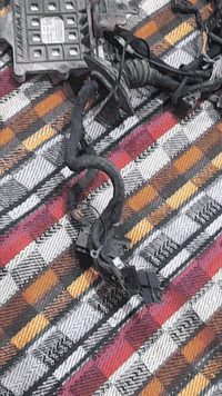 السلام عليكم للبيع غراض سورنتو ضفيره هيه وعقلها السعر ورقتين/ وعبوه مال سورنتو 2009 السعر 50 الف
ملاحضه / الضفيره ما اعرف خليجي لو لا الاستفسار *********** اتصل على هذا الرقم العنوان البصره
