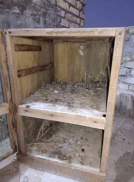 سلام عليكم وجهيه مال دجاج 3×90
مقطعه ثلاث ابواب سيم بي ارسي   كامله بس السيم  يردله ترتيب. وياه قطعه سيم بي ر سي كامله
خانه طابقين    90×70×50 
كلهن 75
بيهن مجال مكان شهداء سيف سعد كربلاء 
***********
***********
