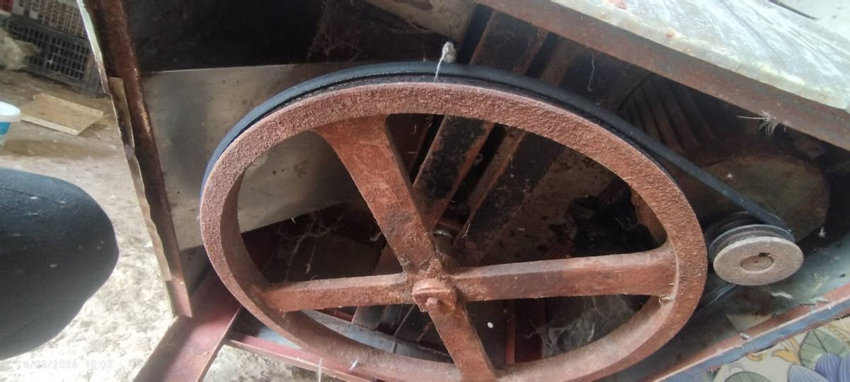 هلاسة دجاج حجم كبير للبيع
١٢٥


**إذا كنت صاحب هذا الإعلان وتريد حذفه لأي سبب، رجاءا أرسل رسالة إلى الدعم الفني**