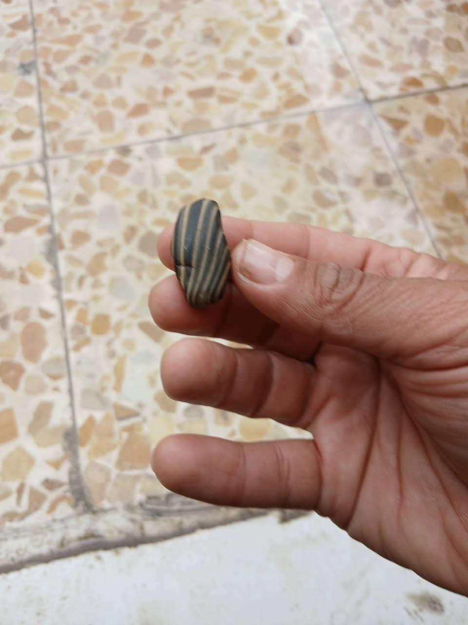 السلام عليكم عندي هاي الاحجار المهتم ويريدهن يراسلني ادزله بعد صور


**إذا كنت صاحب هذا الإعلان وتريد حذفه لأي سبب، رجاءا أرسل رسالة إلى الدعم الفني**