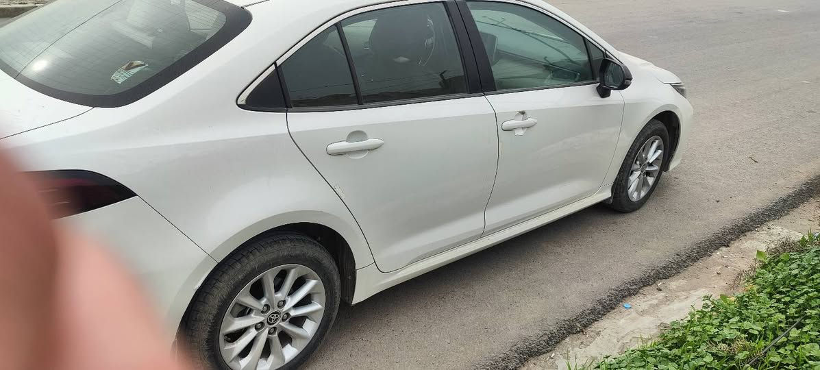 كورلا خليجي موديل 2020.


**إذا كنت صاحب هذا الإعلان وتريد حذفه لأي سبب، رجاءا أرسل رسالة إلى الدعم الفني**