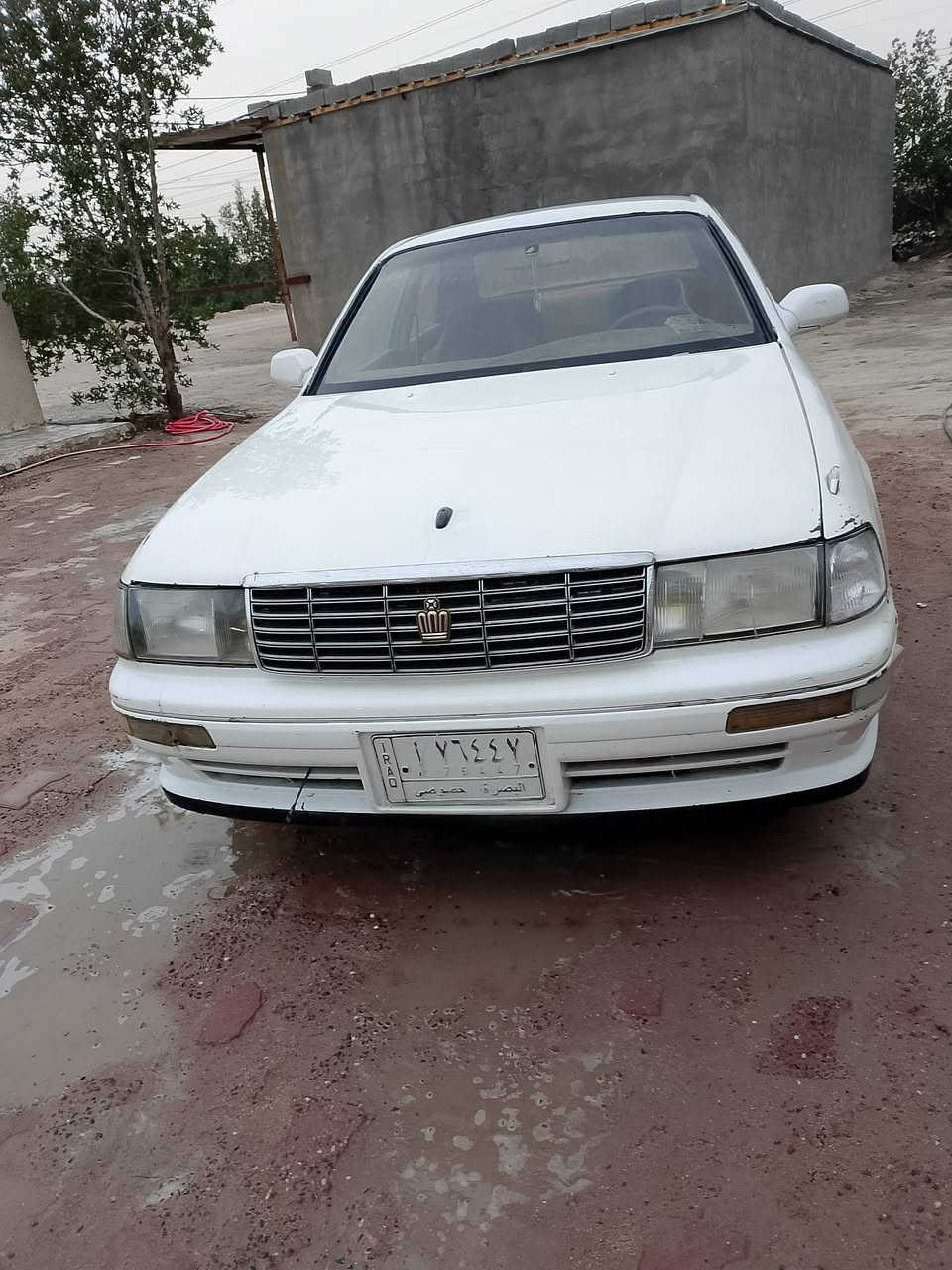 بطة للبيع بيها كصه قماره سعر 44 بيها مجال بسيط رقم الهاتف *********** مكاني البصرة الزبير
