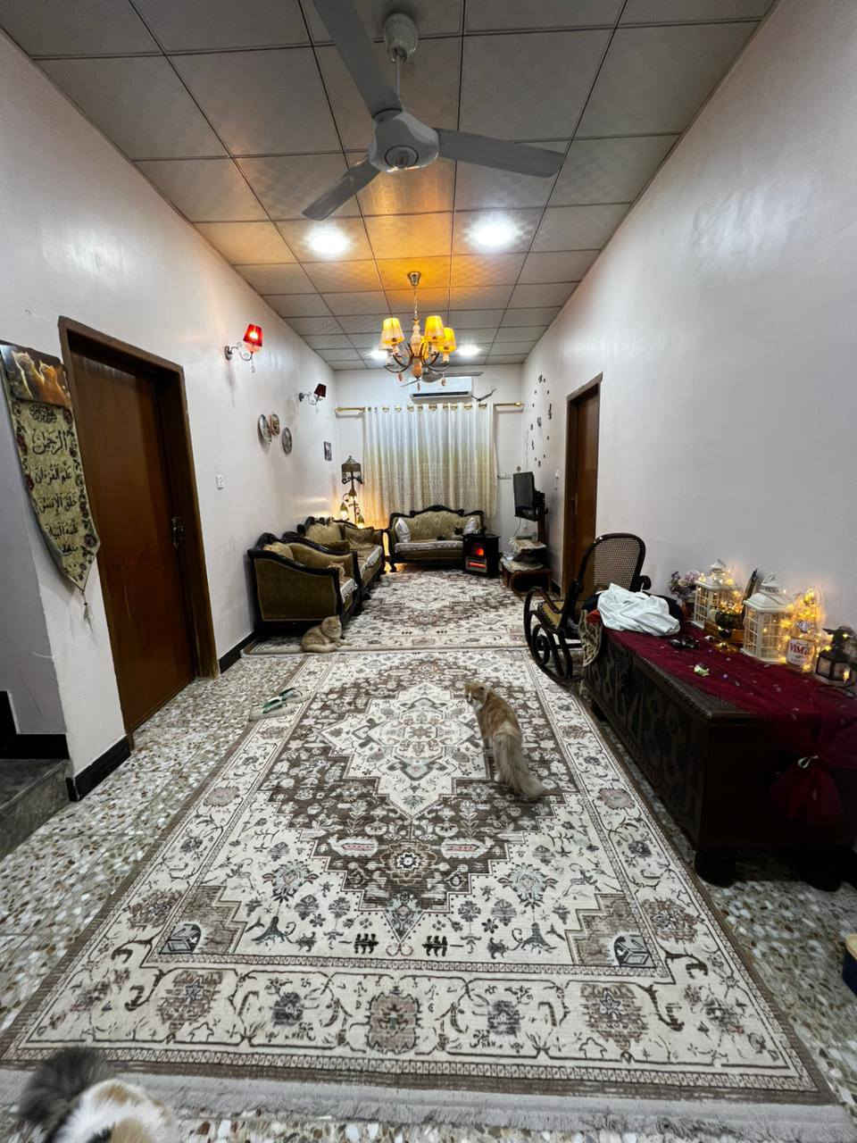 يعلن مكتب عقارات أبو انور فرع الطويسه عن وجود بيت البيع وقف سني في البراضعيه تحويل مباشر بس المشتر يجار بل السنه مليون مساحة 196 متر طابق واحد يحتوي على 2 غرف نوم وصاله وستقبال ومطبخ وصحيات وكراج سعر المطلوب 150 مليون مكان راقي ممتاز الستفسار الاتصال//***********//***********// كما نستقبل جميع عروضكم وطلباتكم التجارية والعقارية المكتب مجاز قانونيا المكتب ماقبيل مطعم الحسون عقارات أبو انور فرع الطويسه
