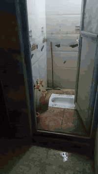 مشتمل • ٨٠م • خضراء الدسيم