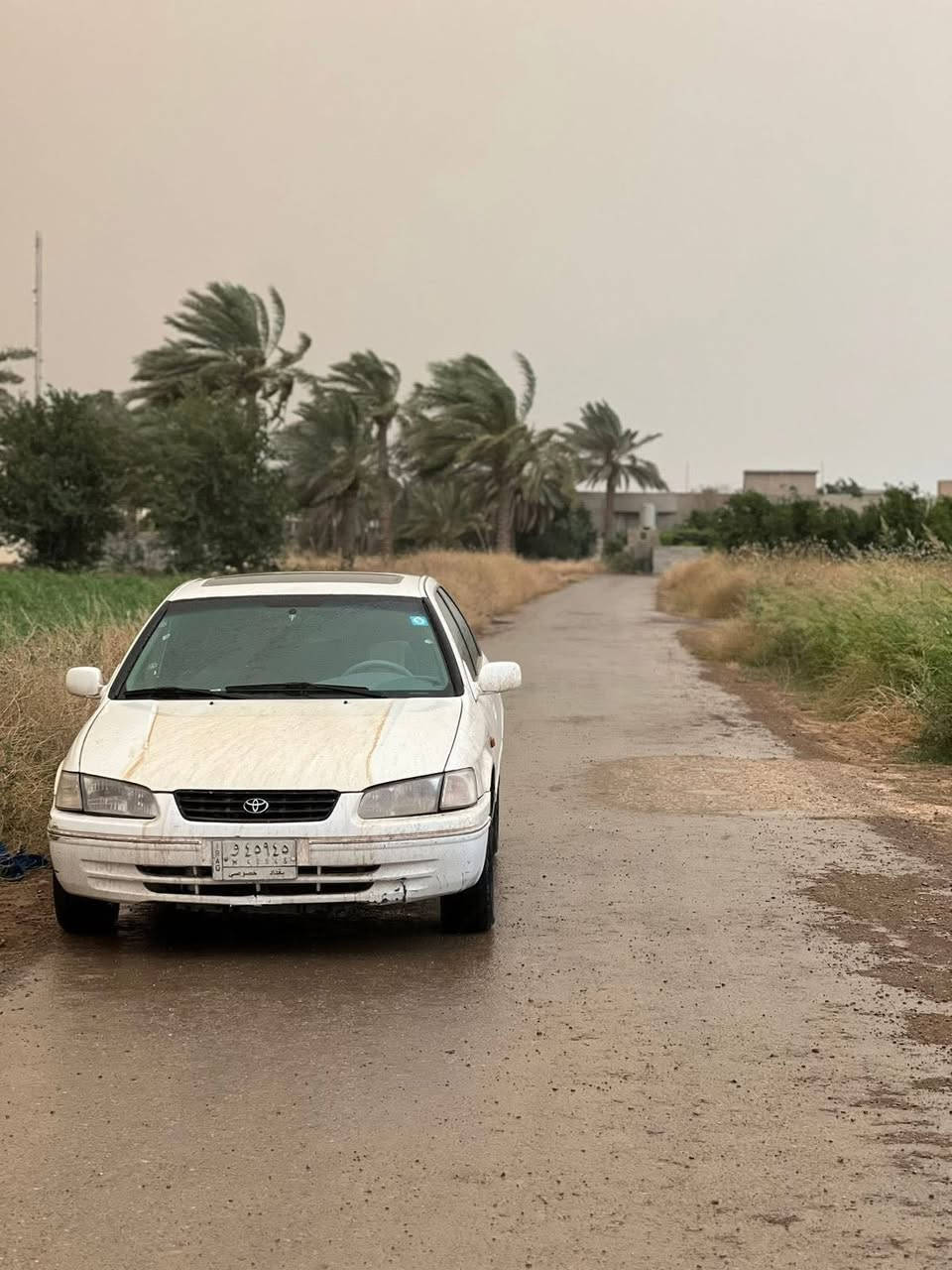 السلام عليكم/// للبيع (فقط) كامري موديل2001

كير محرك شرط 

تبريد ثلج 

صدر جديد 

مصبوغة حزام

رقم بغداد مشروع وطني بأسمي شرط التحويل 

السعر 73 وبيها مجال 

***********
