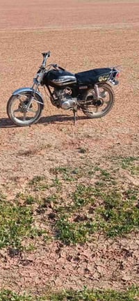 تايكر • اوراق • مكفول