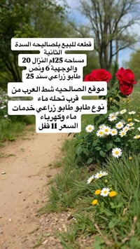 الصالحيه شط العرب • ١٢٥م