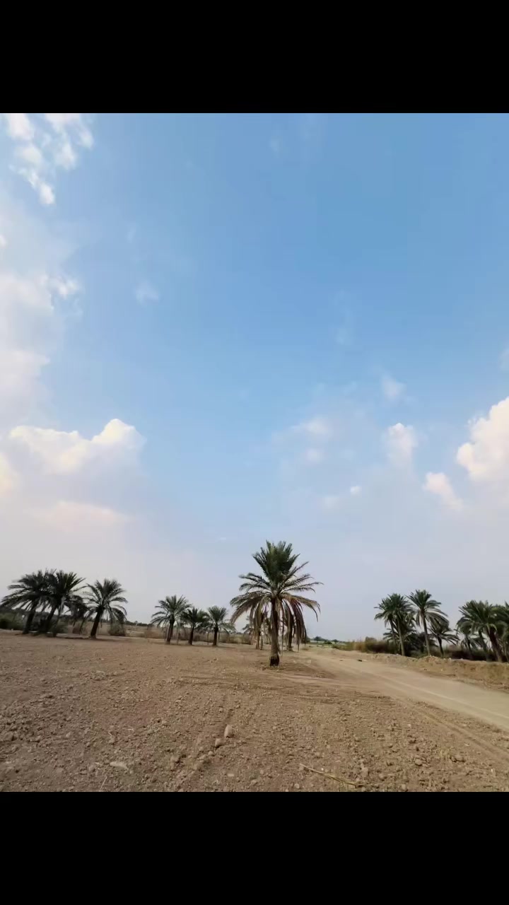 سلام عليكم للبيع حفاره زت 3 موديل 2010  مرقه رقم بسمي تحويل ثاني يوم  حفاره مكفوله كفاله عامه بوجه للشغل (السعر ) تواصل ع رقم ***********
