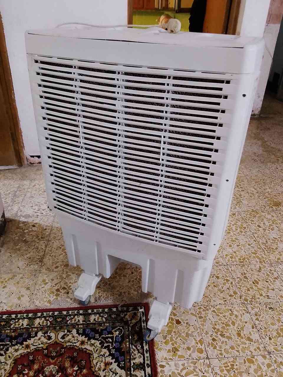 غلف كنفيره نضيف كلش ب50


**إذا كنت صاحب هذا الإعلان وتريد حذفه لأي سبب، رجاءا أرسل رسالة إلى الدعم الفني**