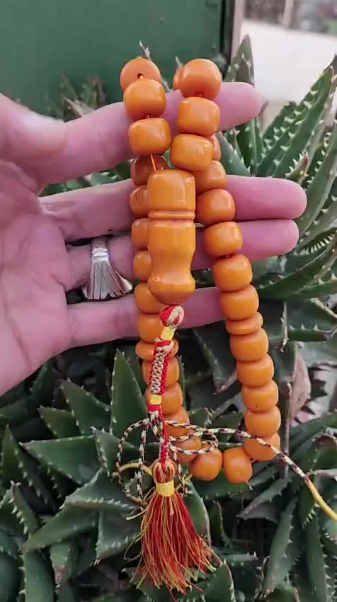 مسكي افغاني حبة فحلة 0796026534


**إذا كنت صاحب هذا الإعلان وتريد حذفه لأي سبب، رجاءا أرسل رسالة إلى الدعم الفني**