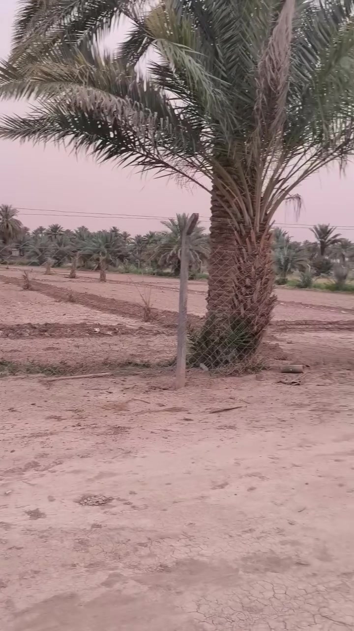 ياالله السلام عليكم يوجد لدينا دونمين طابو زراعي سند 25 خدمات كامله تحويل مباشر بااسم المستري الوجه 50 متر والنزال 100 متر  الموقع بابل طريق العلويه شريفه ع منطقه بني ساله تبعد عن الشارع 300 متر موقع مميز الاستفسار مراجعه مكتب سما الهادي للعقارات اولا تصال على الرقم  ***********
