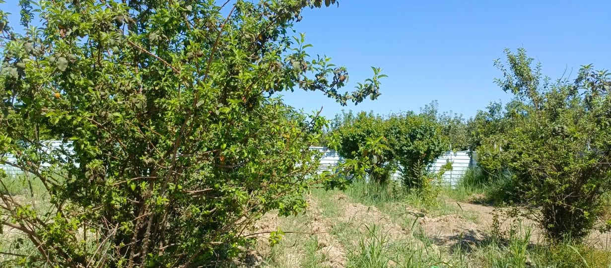 بستان صغيره 500متر طابو زراعي سند 25 تتوفر فيها جميع الخدمات ماء اساله وماء سقي وكهرباء ومسيج بالكامل الواجهه 21 متر والنزال 24 متر الموقع بغداد الراشديه نهاية منطقه العاصفه السعر جدا مناسب 37 مليون وقابله للتفاوض للاستفسار الاتصال على الرقم *********** مكتب العبيدي للعقار
