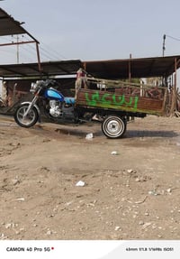 ستوته • نضيفه • وراق أصولي