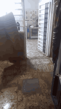 الشعب الديوان • ١٠٠م • طابقين