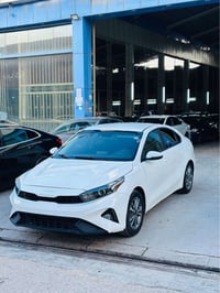 فورتي • ٢٠٢٣ • نص صبغ