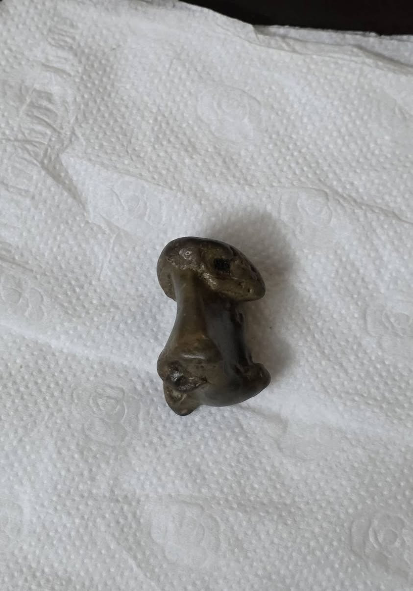 ياالله صلطاني مصور واظح ***********
