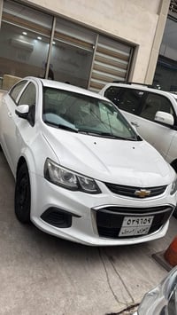 افيو • ٢٠١٩ • أربيل