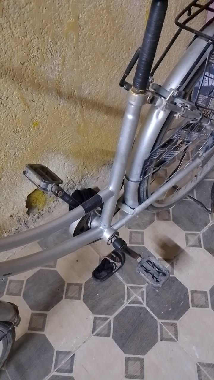 باسكل للبيع حجم 26 سعر خاص


**إذا كنت صاحب هذا الإعلان وتريد حذفه لأي سبب، رجاءا أرسل رسالة إلى الدعم الفني**