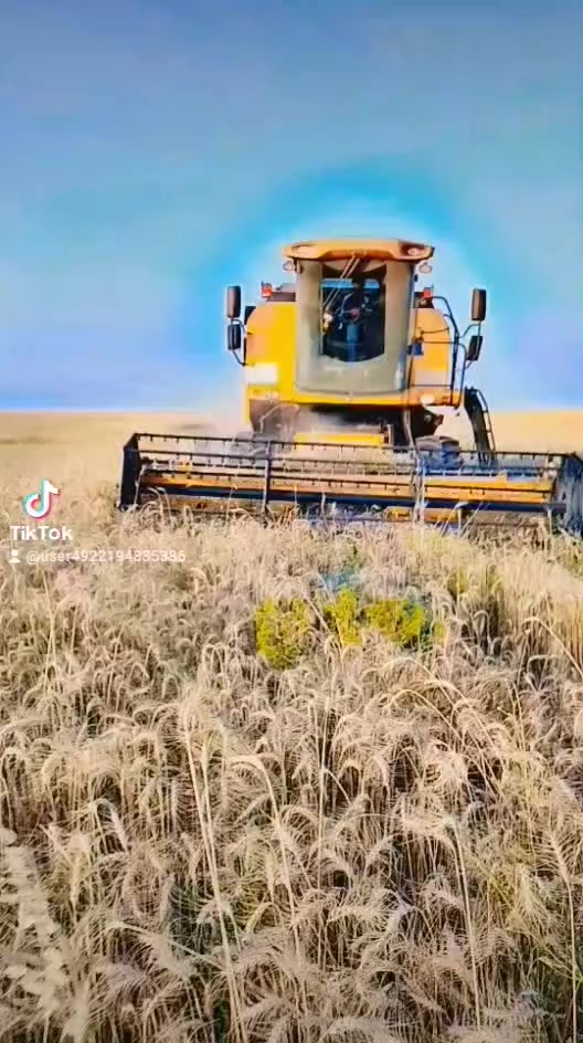 صلاح الدين الشرقاط عويجيله السلام عليكم ورحمة الله دراسه البيع موديل 2009 رقم اربيل مكفوله كفاله عامه تواصل على الرقم الاتيه***********
