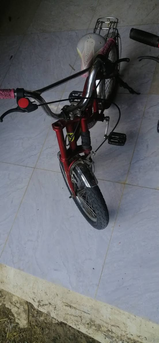 باسكلات للبيع  نظيفات حجم (  ٢٤) واثنين حجم (١٦) كلهن سعرهن ١٠٠ وبيهن مجال


**إذا كنت صاحب هذا الإعلان وتريد حذفه لأي سبب، رجاءا أرسل رسالة إلى الدعم الفني**