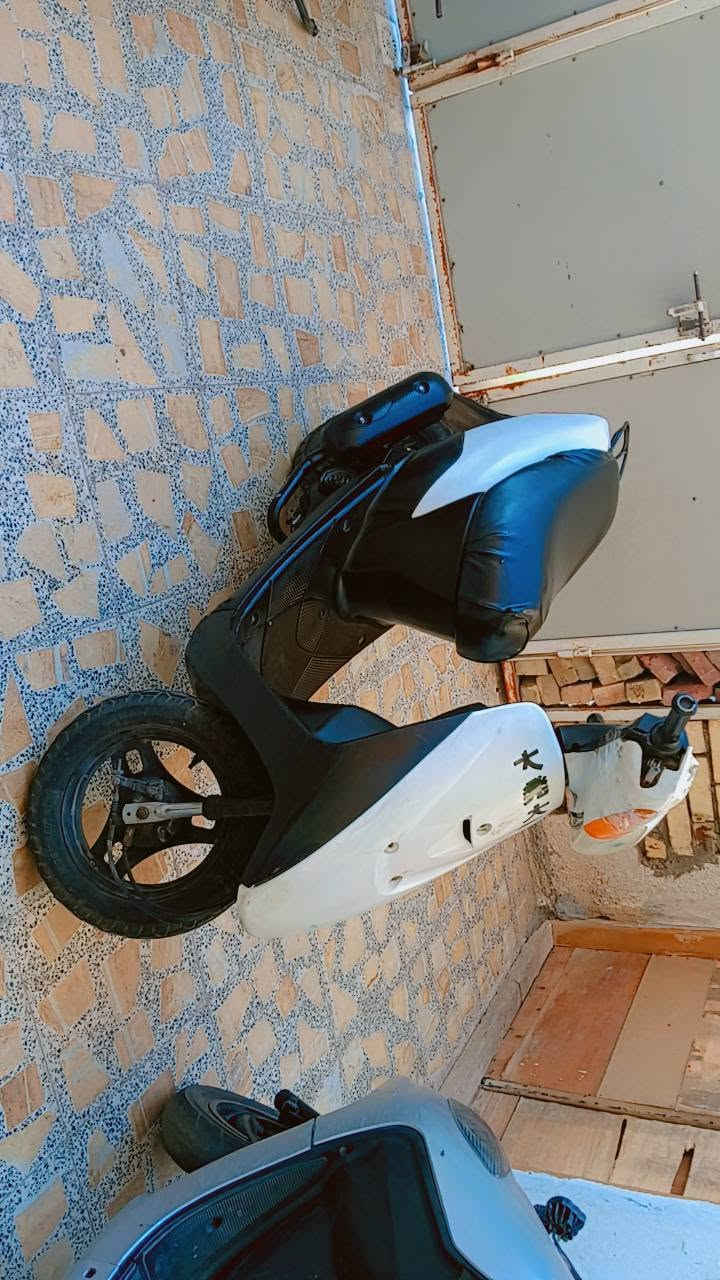 دراجه البيع اوراق مكانه ميسان المجر الكبير اول مره مجفته تجفيت جديد وكامله من كلشي سعرها 300 وبيها مجال اتصل ***********
