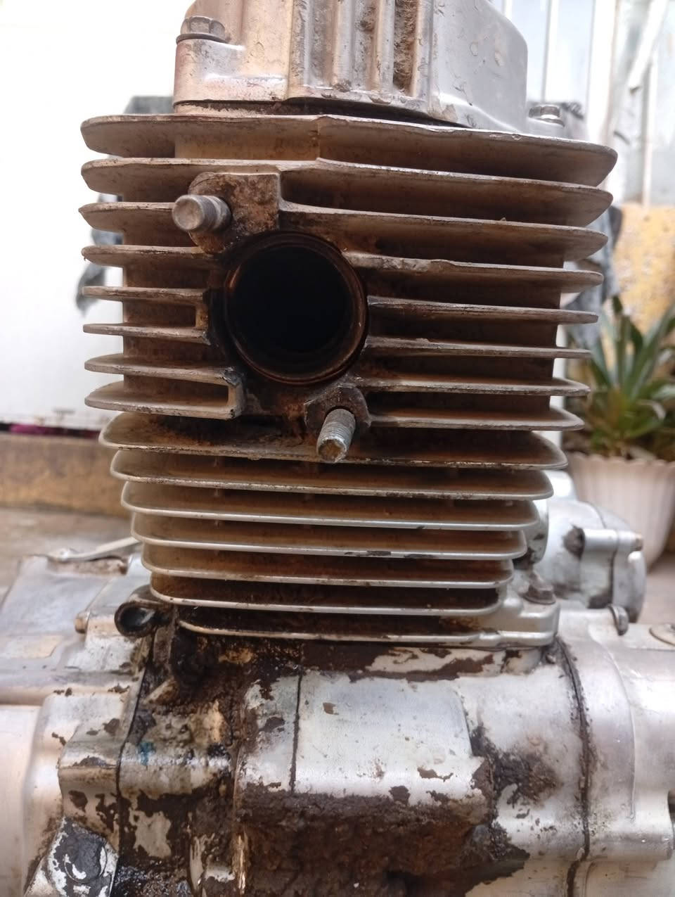 محرك ستوته للبيع 2018


**إذا كنت صاحب هذا الإعلان وتريد حذفه لأي سبب، رجاءا أرسل رسالة إلى الدعم الفني**