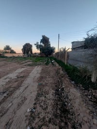 تكريت الكراعات • ٢٥٠٠م • طابو زراعي