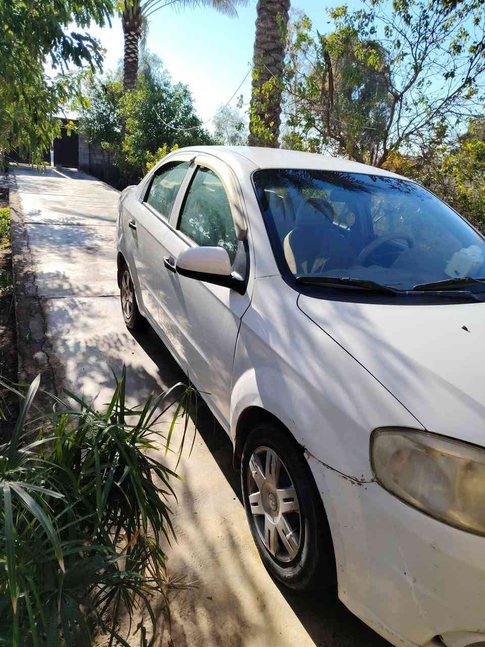 السلام عليكم ورحمة الله وبركاته اخوان افيوم مديل 11 مشروع وطني رقم بغدا. بسمي  وارد امريكي بيه جاملغ مبدل  مكفوله من الكلبه ولغود وشواصي مكينه ١٦٠٠ مفتوح
سنويه صاقطه مكانهة ديالئ بلدروز
وترهم مراوس حسب القناعه.

***********
