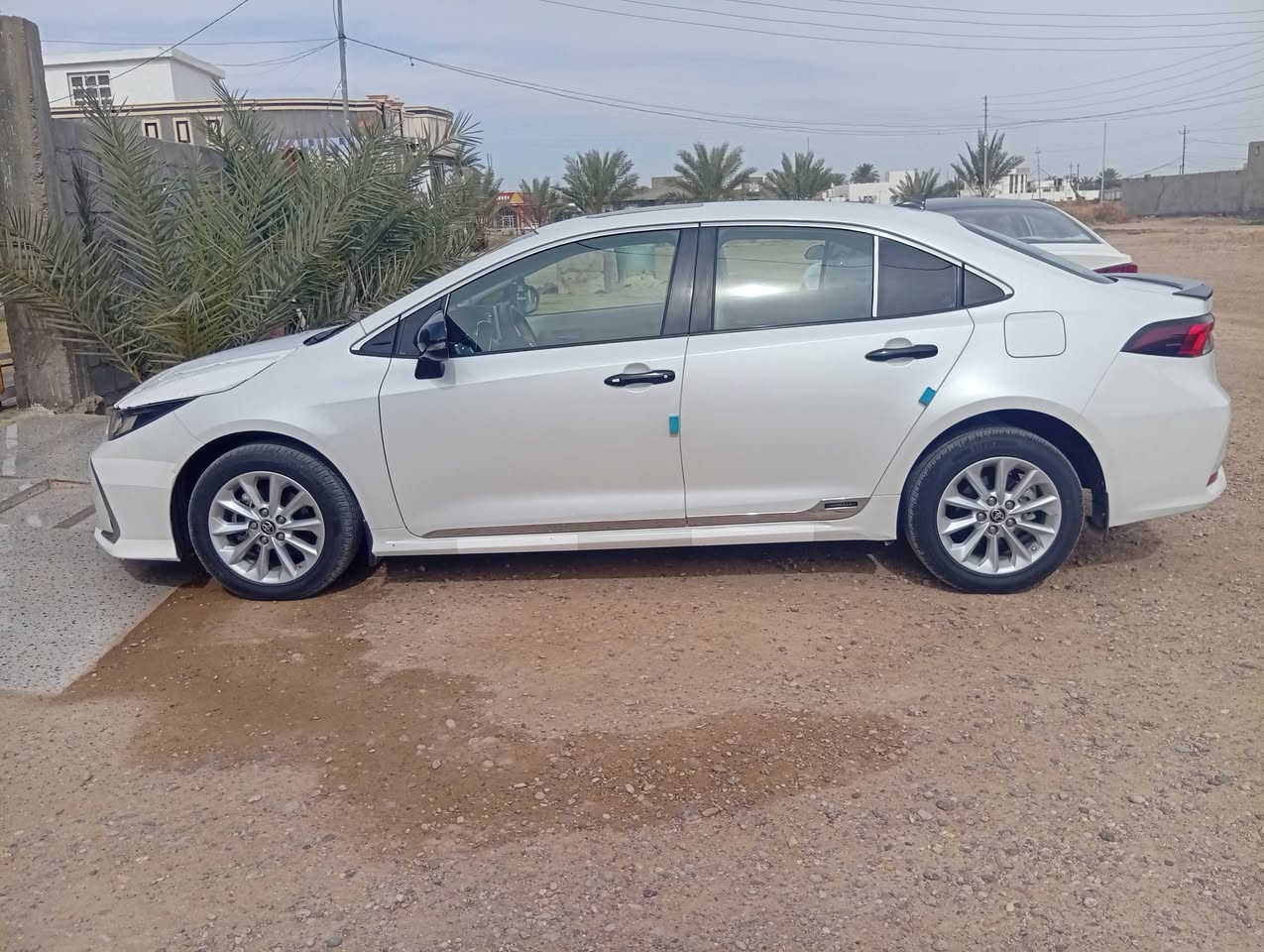 كورلا 22 ساز كفاله عامه ماشيه 98 رقم اربيل بسمي تحويل مباشر سعر 175 مكان سياره رمادي  ***********
