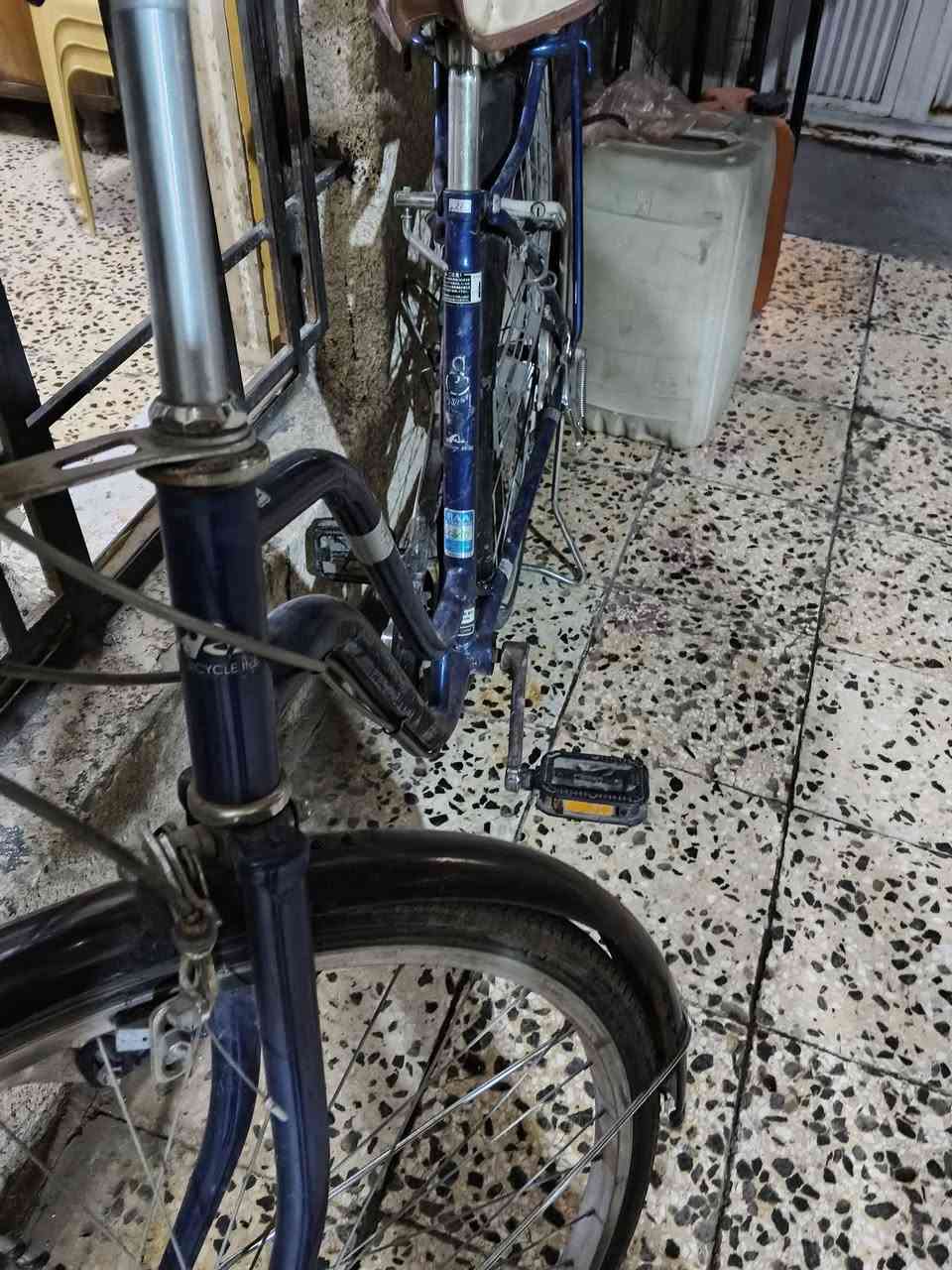 بايسكل بناتي حجم ٢٧ لون نيلي باله مال حاويه أمانه أخذته ١٤٠ إني عارضه ب٩٠ سيبايه بيه شخوط خفيفه من حاويه اجه ب سيبايه ويل بي عواج هم من حاويه انته تجي اعدلك ويل يرجع جديد وجوب جديد يصير ٩٥ إذا عليه تصليح إذا عليك ب ٨٥ وبي مجال
يمكن لاتصال عل واتساب ***********
