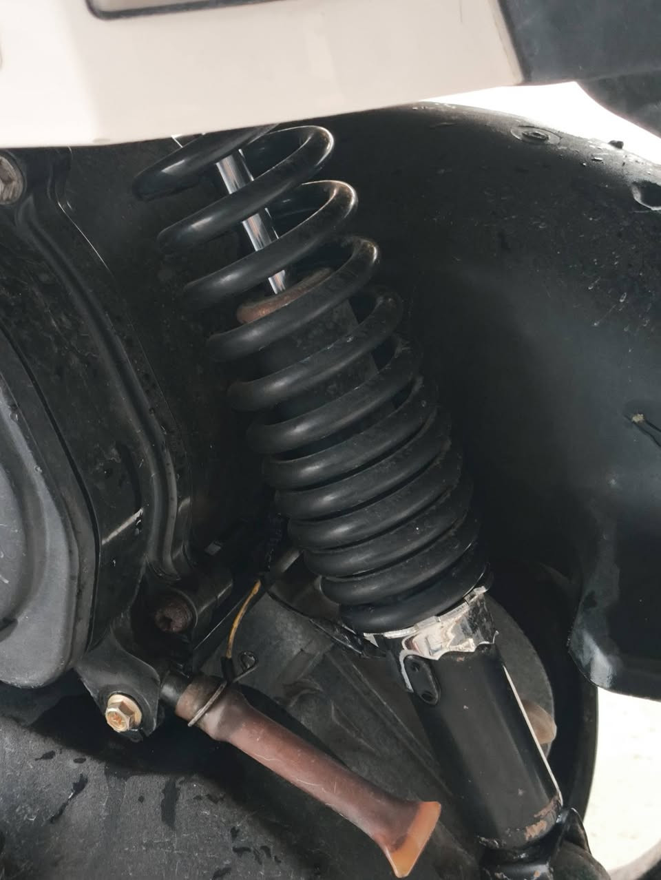 يا الله السلام عليكم ماكس بوليسي بوشة 49 بلاد شرط كلين مكينة فول لا تنقيص لا تبخير لا دخان دهن جديد شغالة من كلشي سلف هندي كهربائيات بك لايت امامي عالي ناصي طوافة اشاير كلهة شغالة تاير خلفي جديد دراجة متعوب عليهة السعر 675 وبيهة مجال حك جيتك فقط عنواني بعقوبة التحرير الحولي ***********
