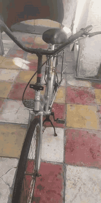 السلام عليكم  باسكل بطه  البيع حجم 26 السعر 60وبي مجال  المكان نجف حي النصر مهدسين. رقم المبايل واتساب  ***********
