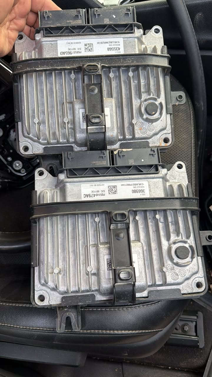 سيد ضياء.  ***********
