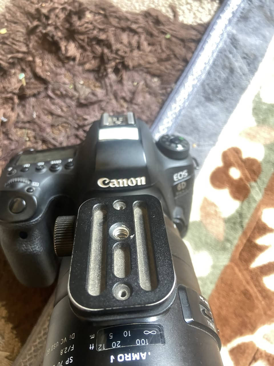 كامرة كانون للبيع
D6
Mark 2
العدسة فتحة 2.8/270
رام 64Gx2+جنطة+حزام +كامل الملحقات

السعر 1400
مكاني بغداد الاسكان
***********
