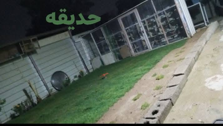 سلام عليكم بيت تجاوز للبيع مساحته 240م زعفرانيه شارع معهد خدمات كامله مي كهرباء مجاري تبليط موقعه ممتاز بنص بيوت طابو الاستفسار اتصل ***********
