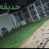 بيت تجاوز للبيع مساحته 240م زعفرانيه شارع معهد خدمات كامله مي كهرباء م...