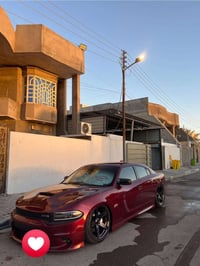 جارجر سكات باك • ٢٠١٩ • وارد امريكي