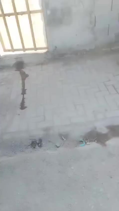 سلام عليكم عندي بيت للبيع ابحي ابو سكينء المساحه 180 البيت بلوك كلاب البناء جديد صار سنه ونص مبني عالي عن شارع البناء غرفتيم وصاله ومطبخ وحمام داخلي وحمامات خارجيات وبيتونه كبيره عل كد الاصاله وبيه مكان مال براني ومحل وكراج الخدمات ماي مجاري و كهرباء وتبليط وسعر عل خاص ورقمي أبيه واتساب *********** واسف عل طاله
